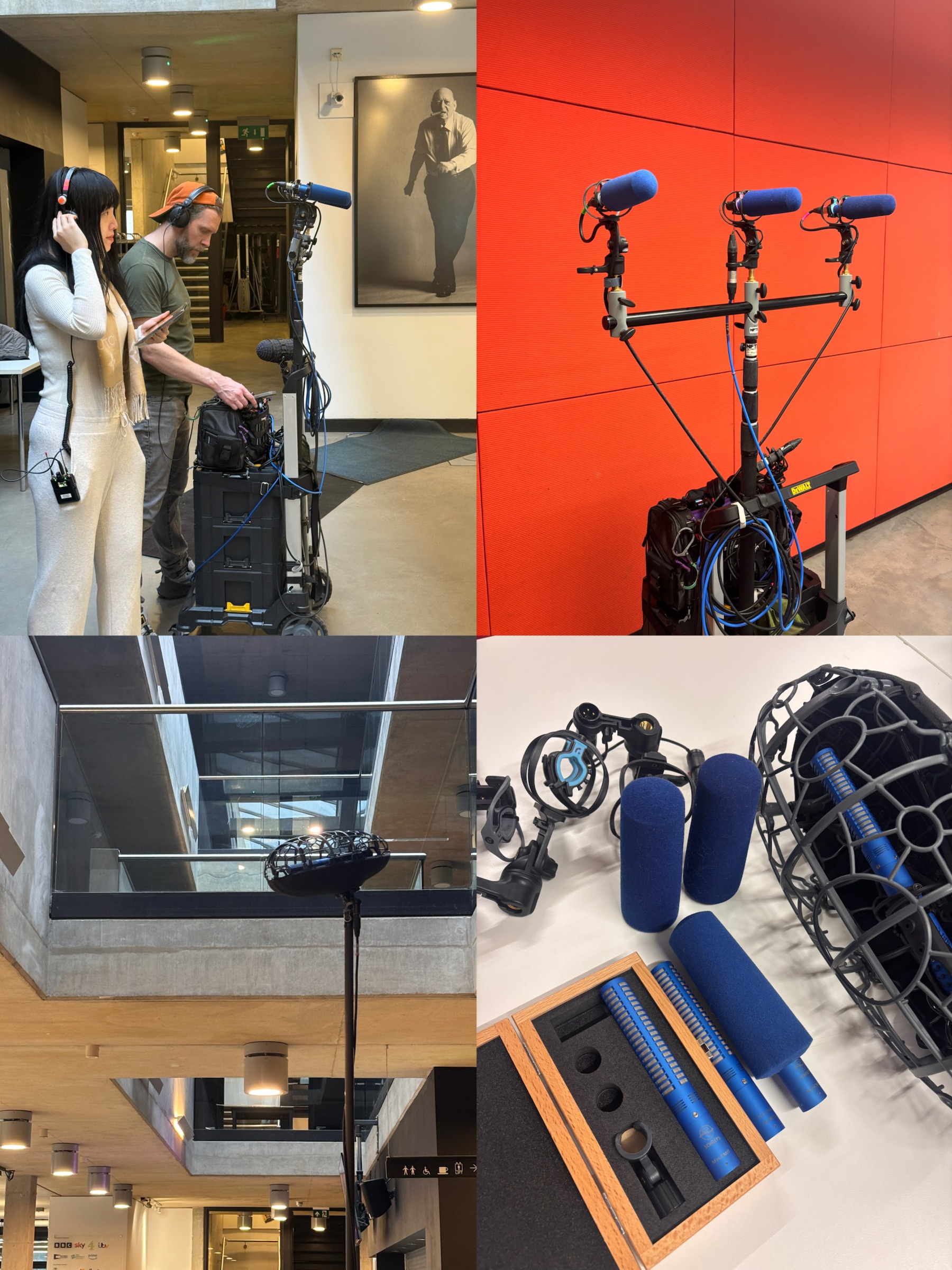 Multi-microphone crowd recording setup