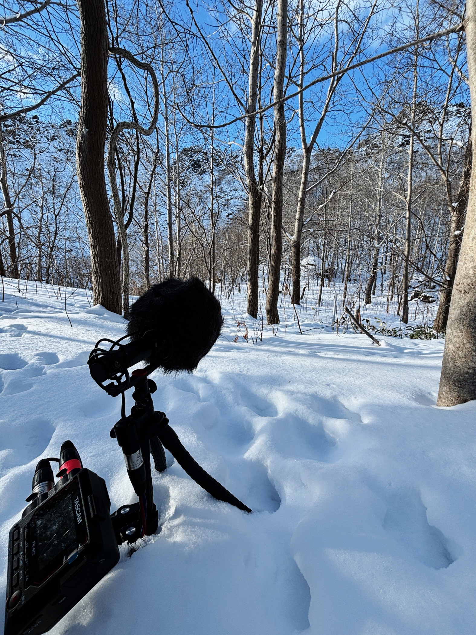 Field recording in Hokkaido, Japan