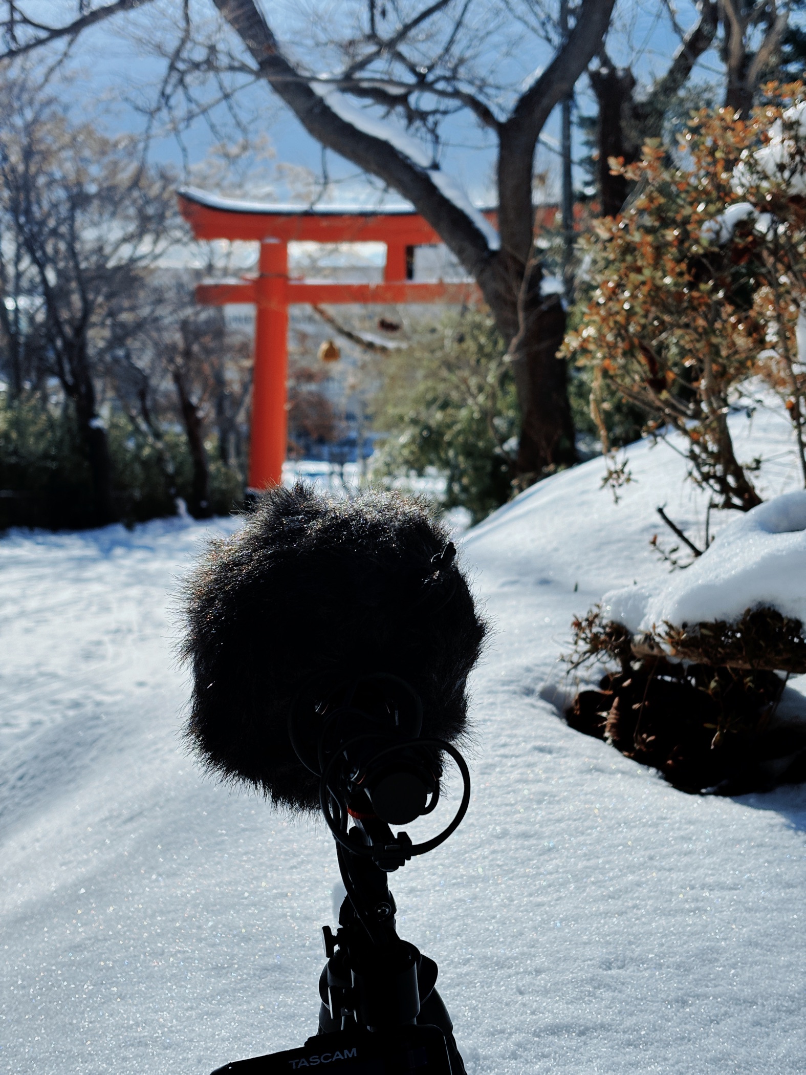 Field recording in Hokkaido, Japan