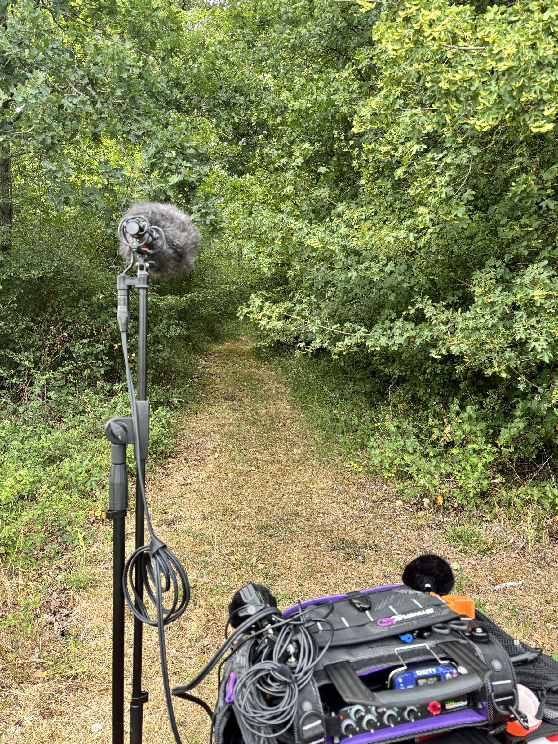 Listening for the character of a place